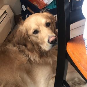 Meet your Posher, Karen